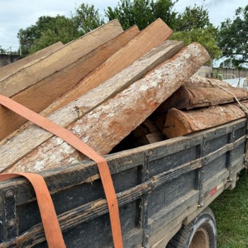 Polícia Civil e Funai desarticulam esquema de desmatamento ilegal em terra indígena em MT